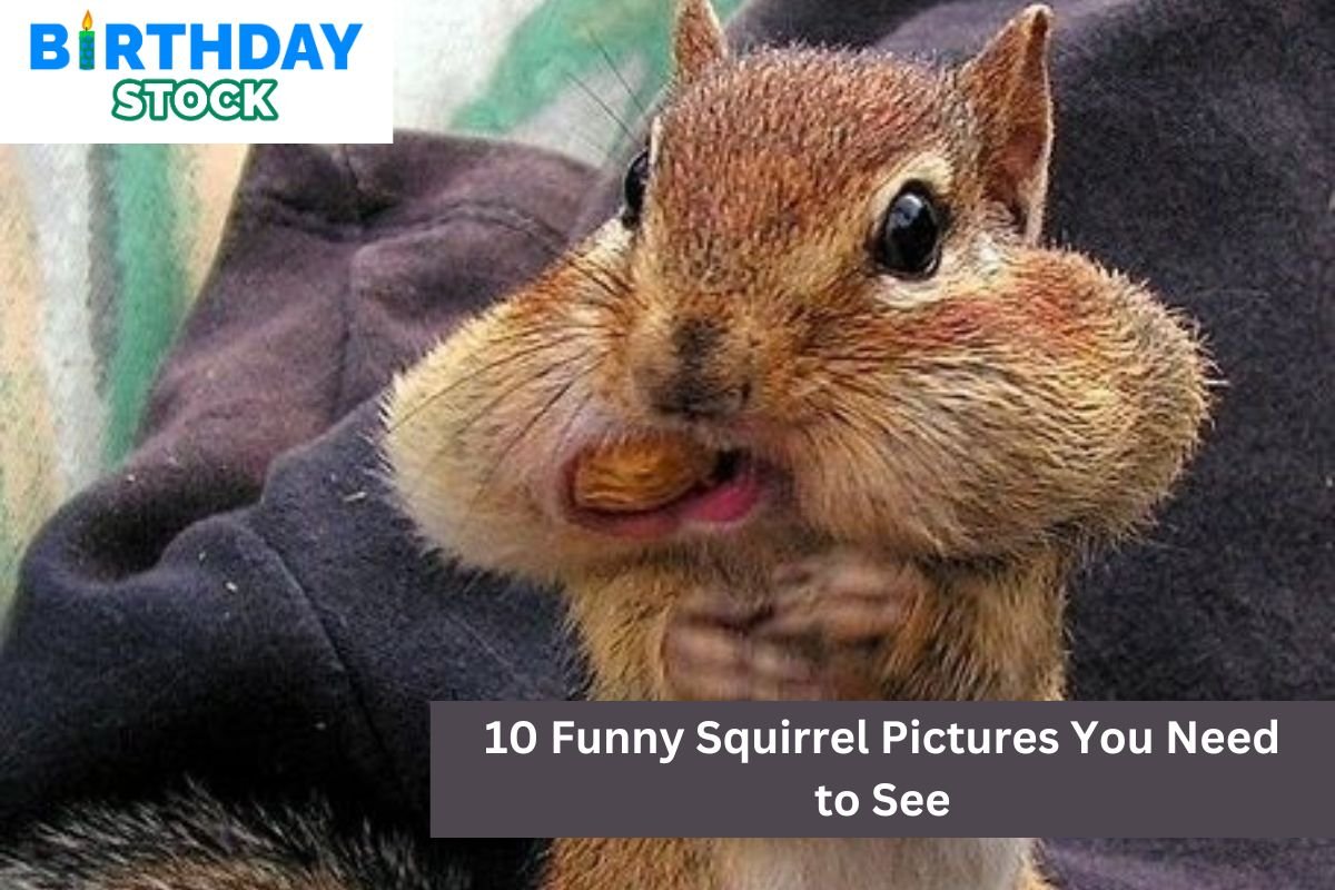 10 Funny Squirrel Pictures You Need to See