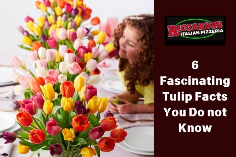 6 Fascinating Tulip Facts You Do not Know