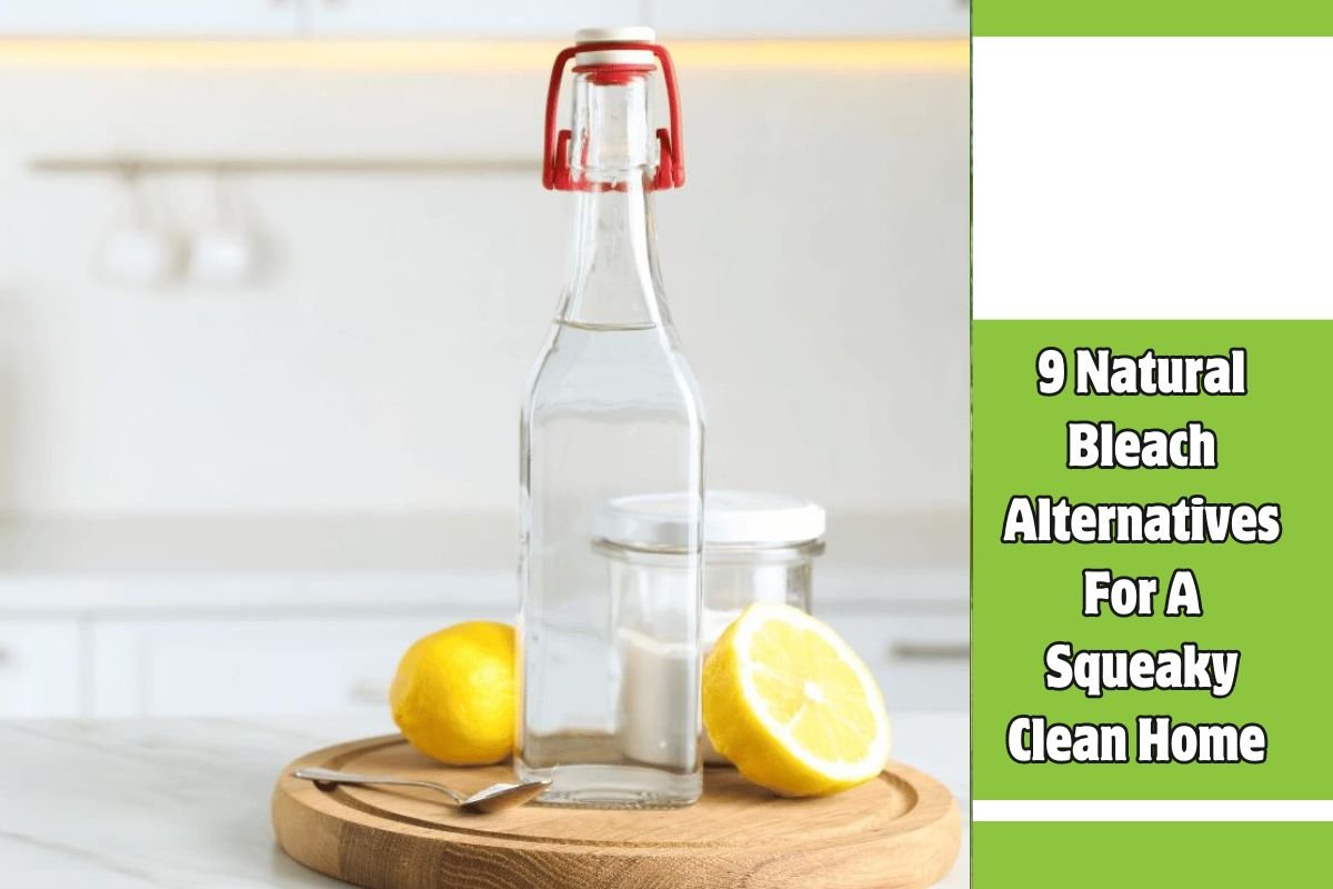 9 Natural Bleach Alternatives For A Squeaky Clean Home