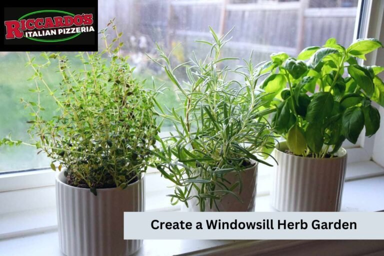 Create a Windowsill Herb Garden