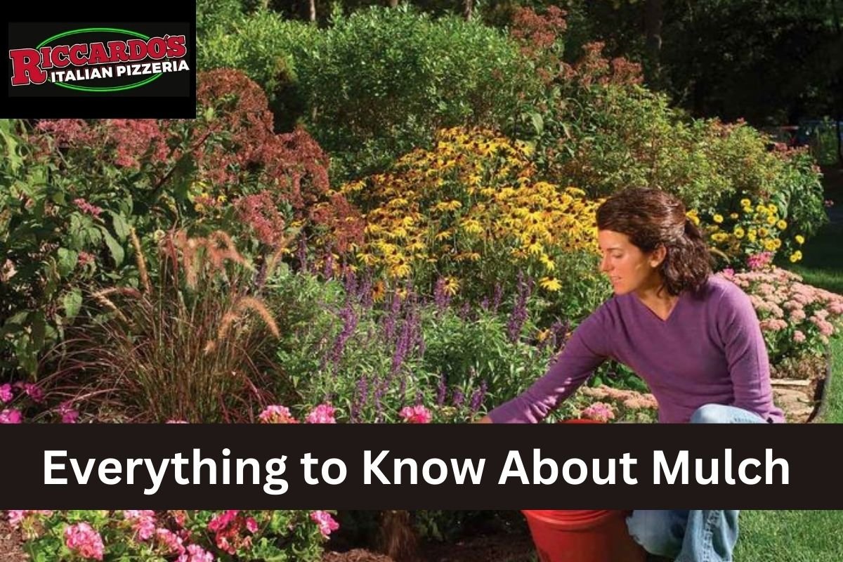 Everything to Know About Mulch