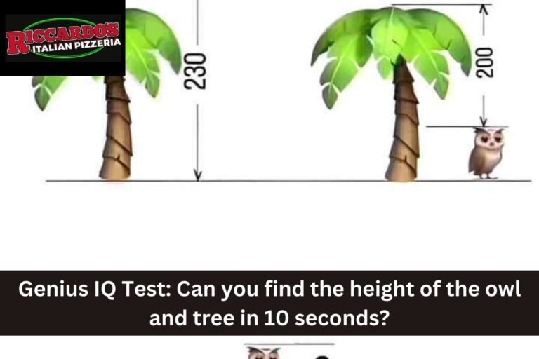 Genius IQ Test: Can you find the height of the owl and tree in 10 seconds?