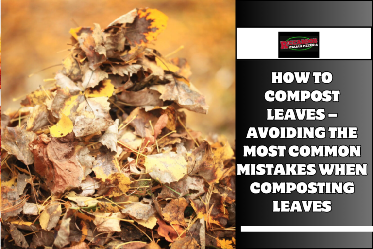 How To Compost Leaves – Avoiding The Most Common Mistakes When Composting Leaves