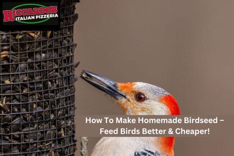 How To Make Homemade Birdseed – Feed Birds Better & Cheaper!