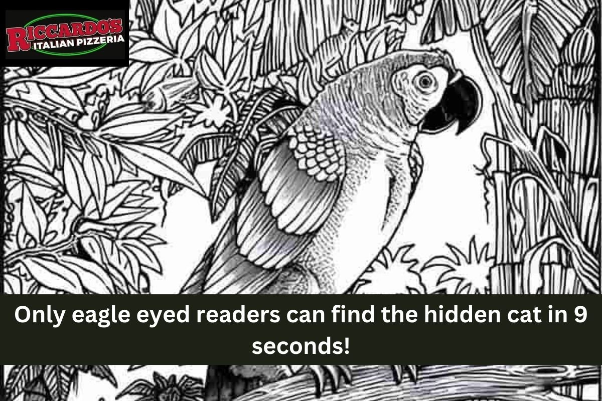 Only eagle eyed readers can find the hidden cat in 9 seconds!