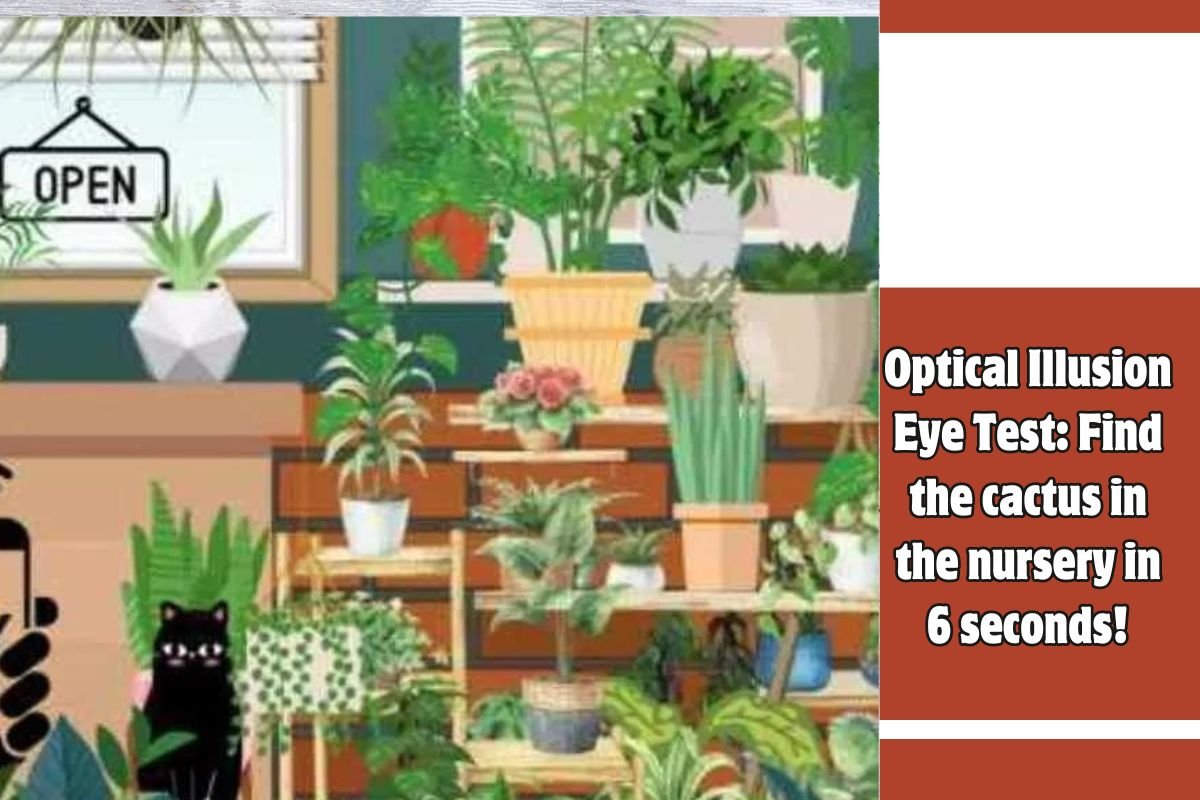 Optical Illusion Eye Test Find the cactus in the nursery in 6 seconds!