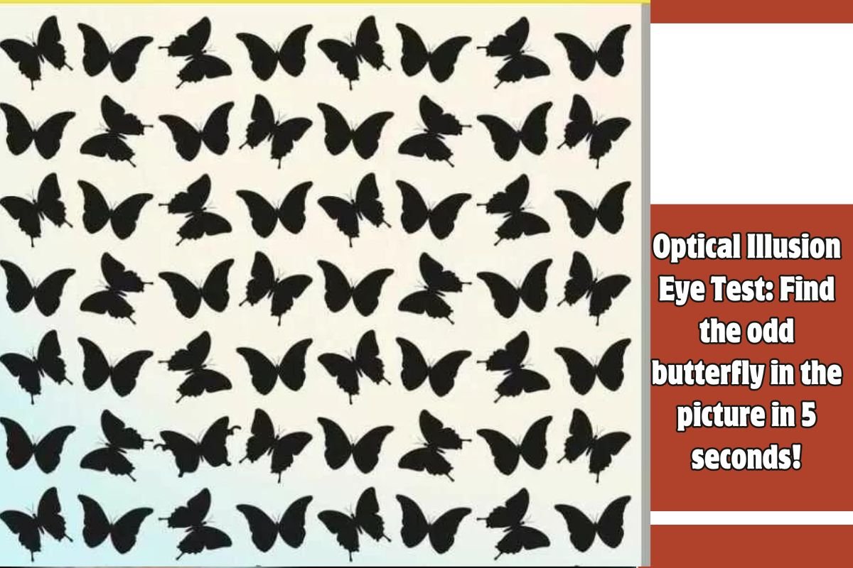 Optical Illusion Eye Test Find the odd butterfly in the picture in 5 seconds!