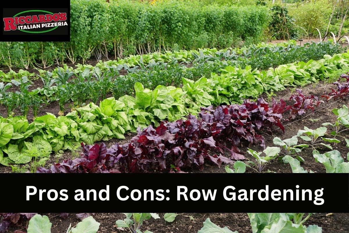 Pros and Cons: Row Gardening
