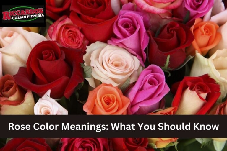 Rose Color Meanings: What You Should Know