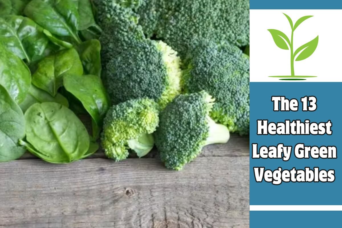The 13 Healthiest Leafy Green Vegetables