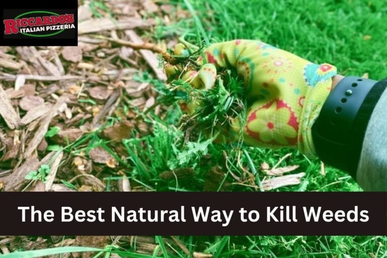 The Best Natural Way to Kill Weeds