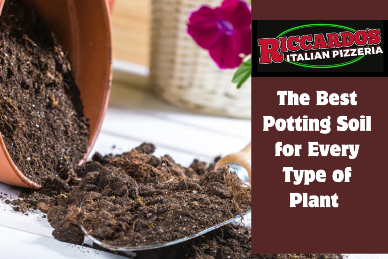 The Best Potting Soil for Every Type of Plant 