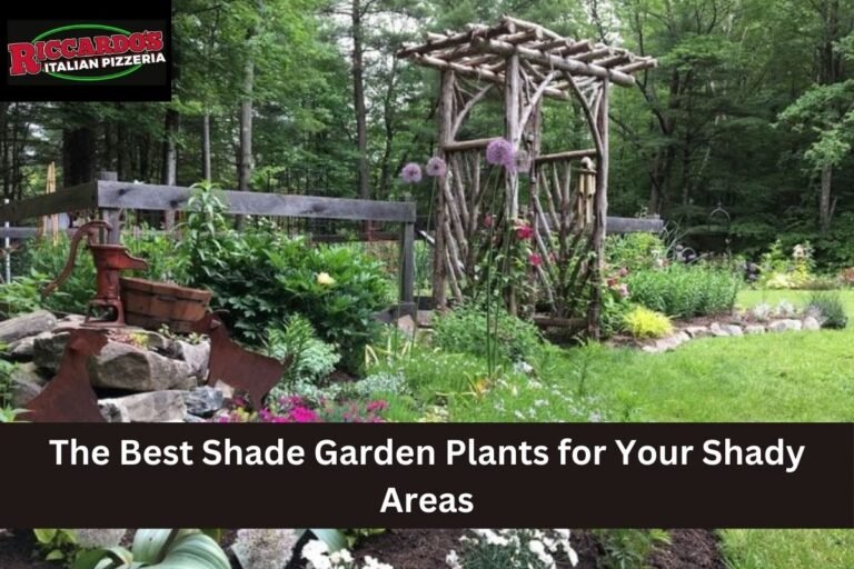 The Best Shade Garden Plants for Your Shady Areas