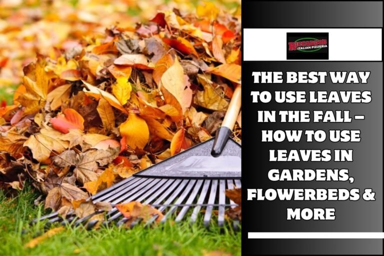 The Best Way To Use Leaves In The Fall – How To Use Leaves In Gardens, Flowerbeds & More