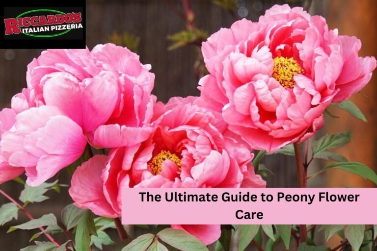 The Ultimate Guide to Peony Flower Care