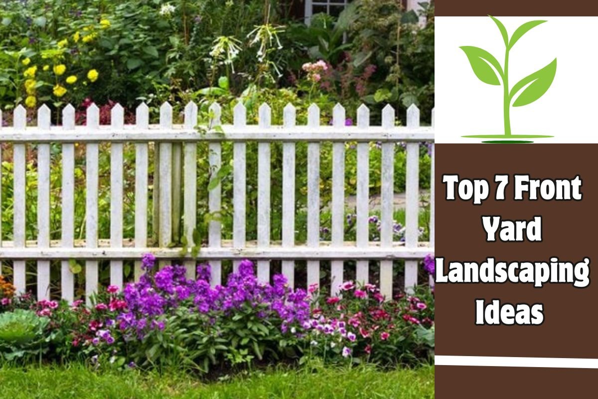 Top 7 Front Yard Landscaping Ideas