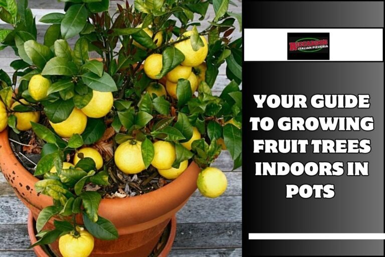 Your Guide to Growing Fruit Trees Indoors in Pots