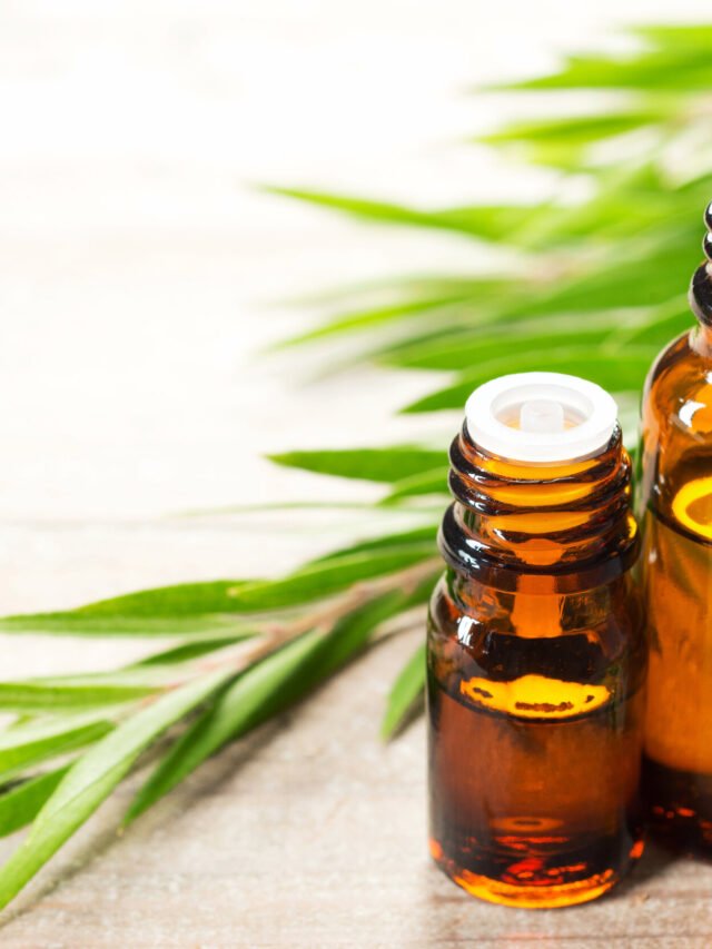 10 Amazing Benefits of Tea Tree Oil
